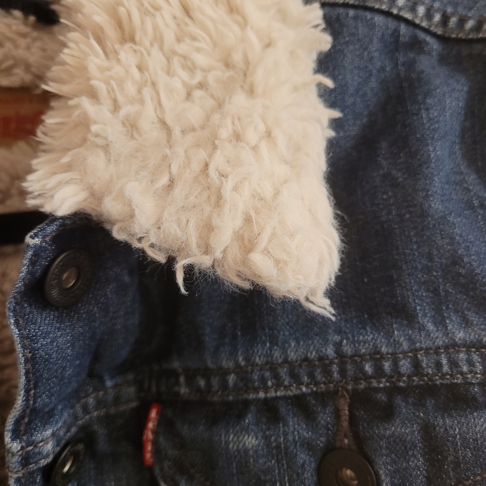 Levi's - Shaggy Sherpa Trucker Jean Jacket - Picture 5 of 16